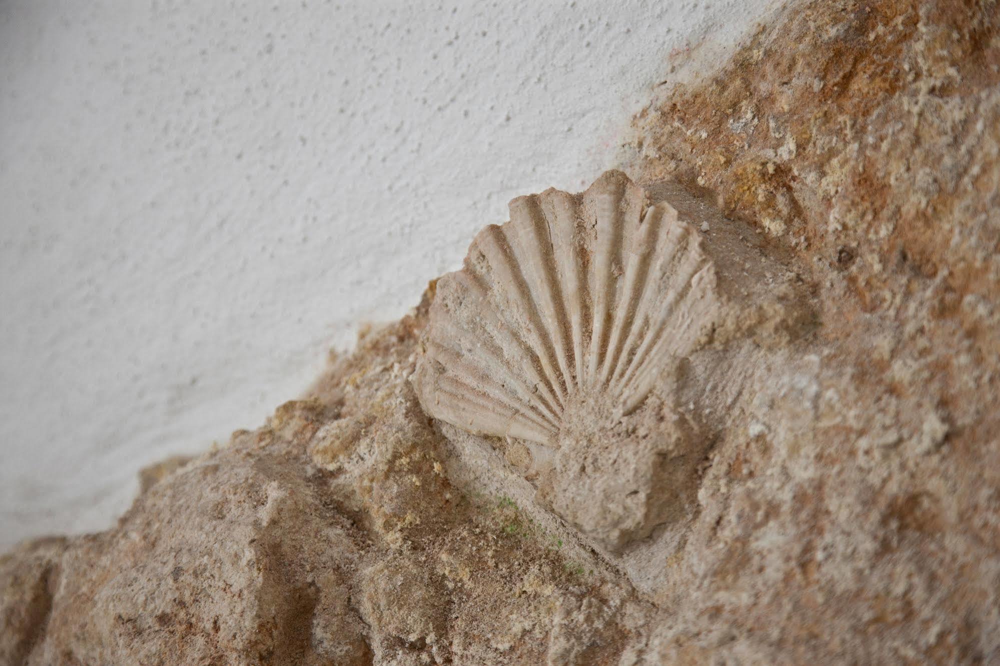 Apartamento Grottammare Polignano a Mare Exterior foto